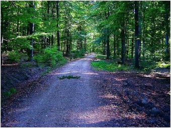 Ferienwohnung Lieserpfad, der berühmte Wanderweg Lieserpfad