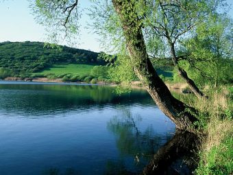 Die pure Idylle, das Schalkenmehrener Maar