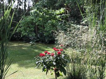 Ferienwohnung Bolsdorfer Tälchen, Gartenbereich